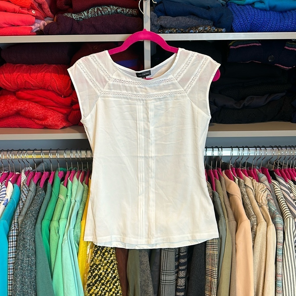 The Limited ivory sleeveless pleated front embroidered blouse size XS